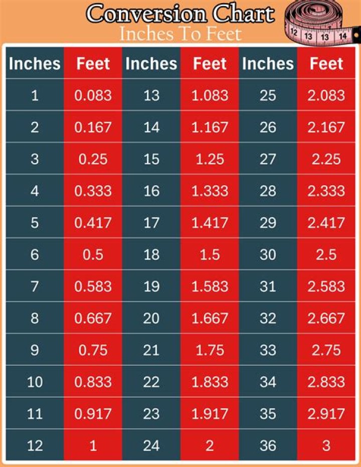38.5 Inches To Feet Converter