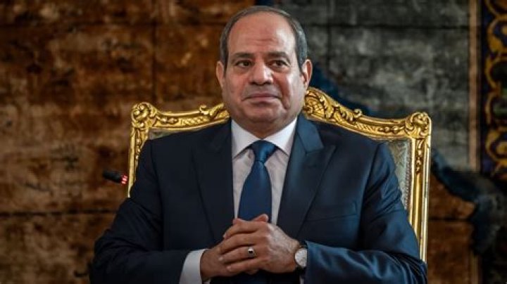 Abdel Fattah El Sisi's Wealth, Wife, And Daughter