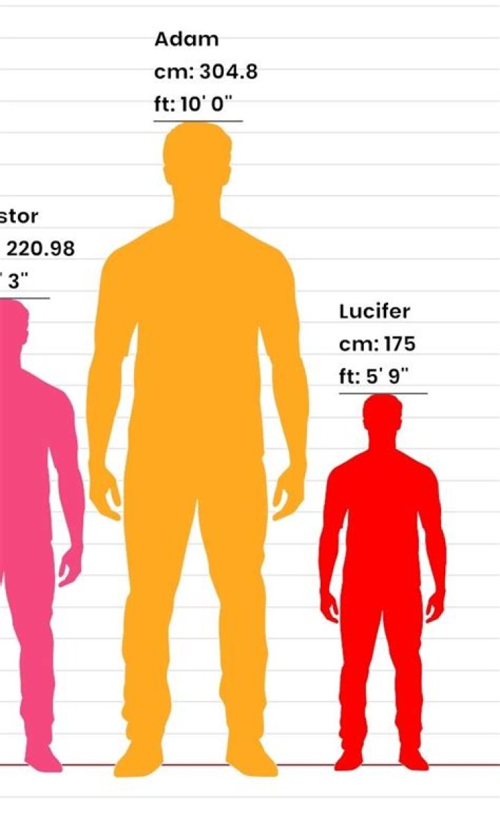 How Tall Is Adam Schefter? Height In Feet And Weigh In Kilogram
