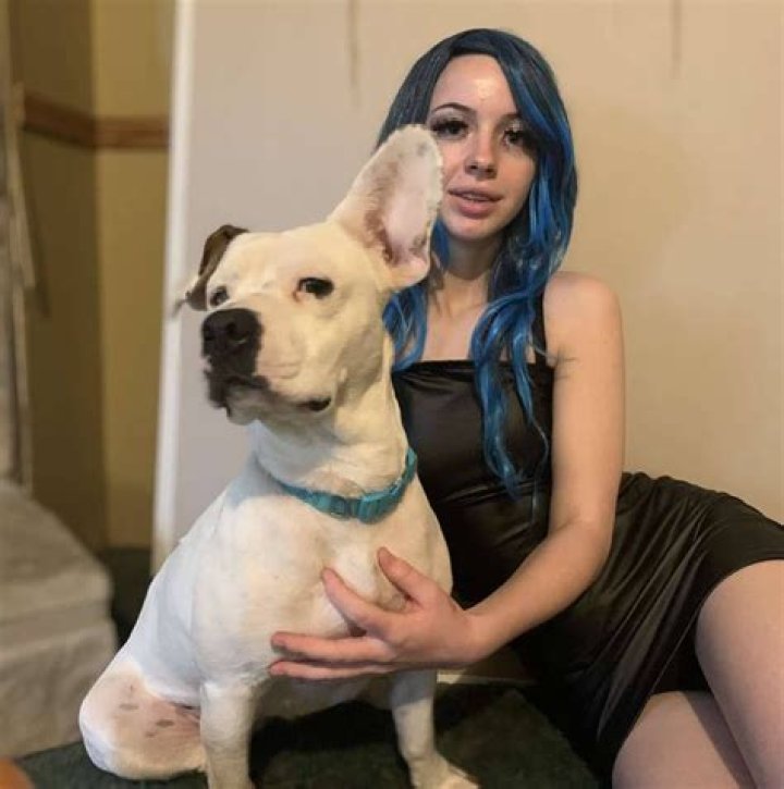 Inside The "Denise Frazier Dog Video Leak"
