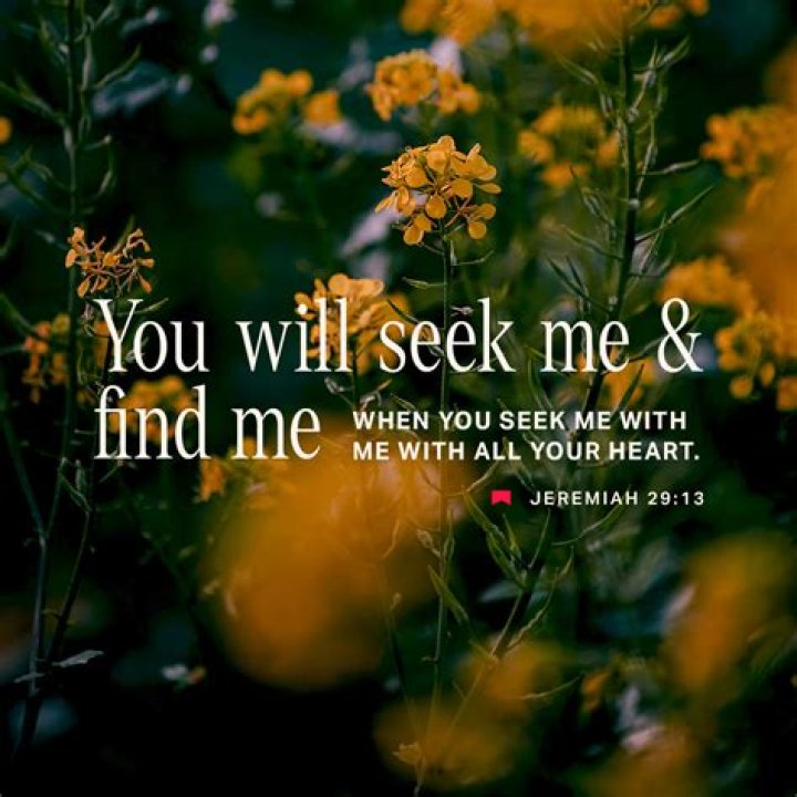 Is He Found? Parents Seek Help ·
