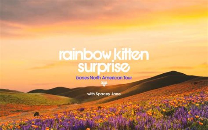 Is Rainbow Kitten Surprise Religious? Here We Explore Their Band Members And Faith