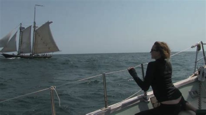 Is Sailing Miss Lone Star Arrested? Aubrey Wilson Charges What Did She Do?