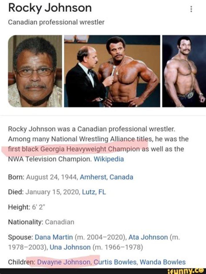 Rocky Johnson Net Worth | BlogPaper