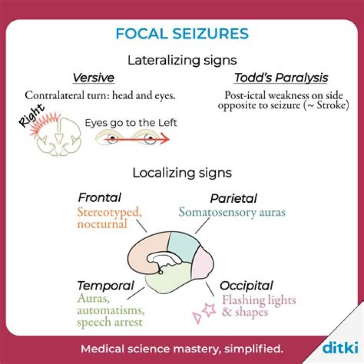 Unveiling Focal Seizures In Dogs: Breakthroughs And Revelations Revealed