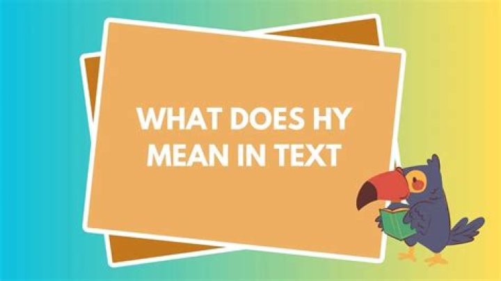 What does Hi Ho mean in text? Celebrity ·